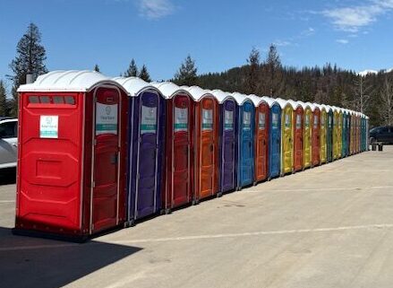 A long row of portable toilets in various bright colors, including red, purple, blue, green, yellow, and orange, lined up in a parking lot with trees and a clear sky in the background.