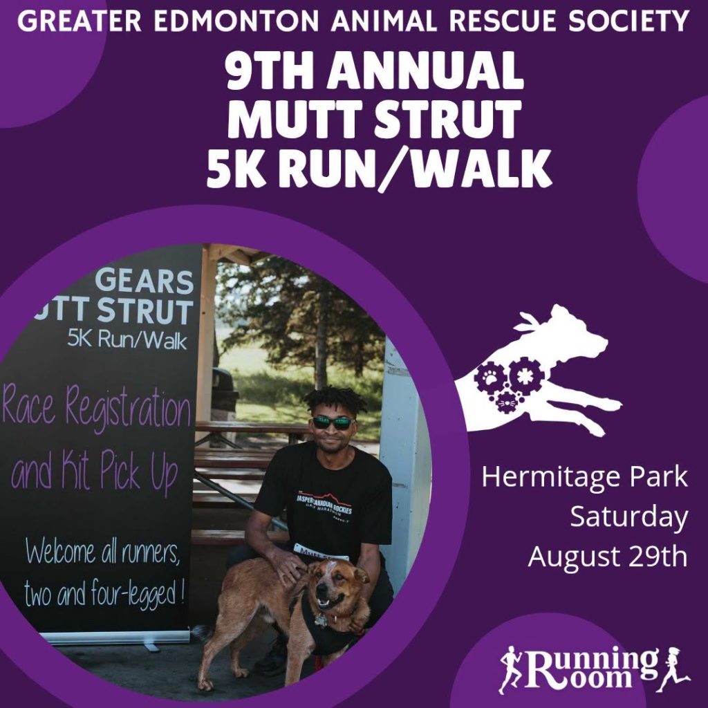 A man sits with a happy dog in front of a registration booth for the 9th Annual Mutt Strut 5K Run/Walk, hosted by the Greater Edmonton Animal Rescue Society at Hermitage Park, Saturday, August 29th.